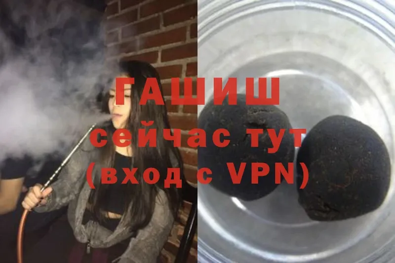 ГАШ Premium Ершов